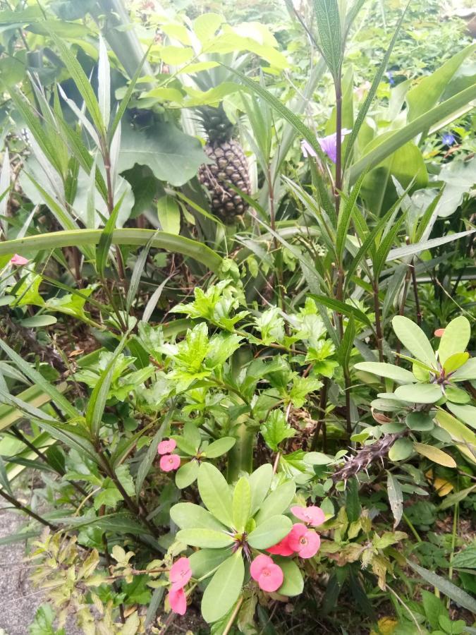 4 Seasons Mini House Hotell Nakhon Si Thammarat Exteriör bild
