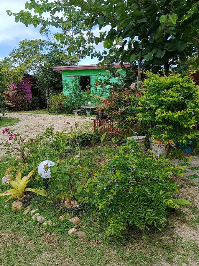 4 Seasons Mini House Hotell Nakhon Si Thammarat Exteriör bild