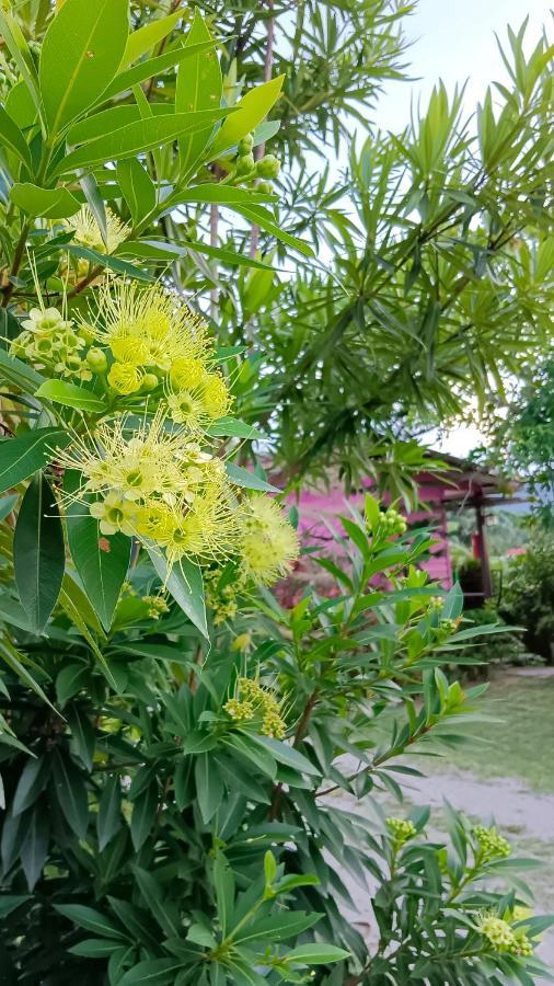 4 Seasons Mini House Hotell Nakhon Si Thammarat Exteriör bild